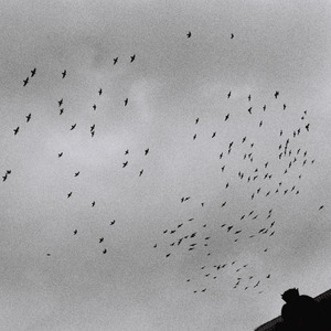 刘飞儿早期写真图片
